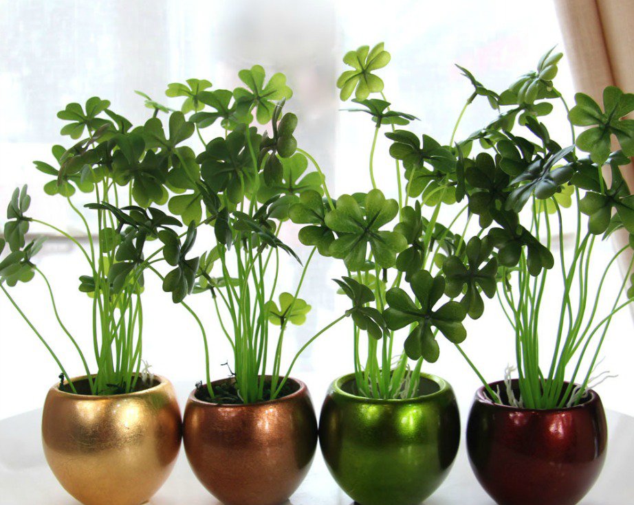 Για να αποκτήσει το σπίτι πιο καλοκαιρινή διάθεση και ζωντάνια, φέρτε τη φύση στο εσωτερικό του σπιτιού προσθέτοντας γλάστρες με όμορφα φυτά και λουλούδια.