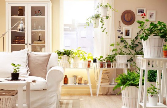 Φέρτε φρέσκο και παιχνιδιάρικο χαρακτήρα στο σπίτι σας με λουλούδια.